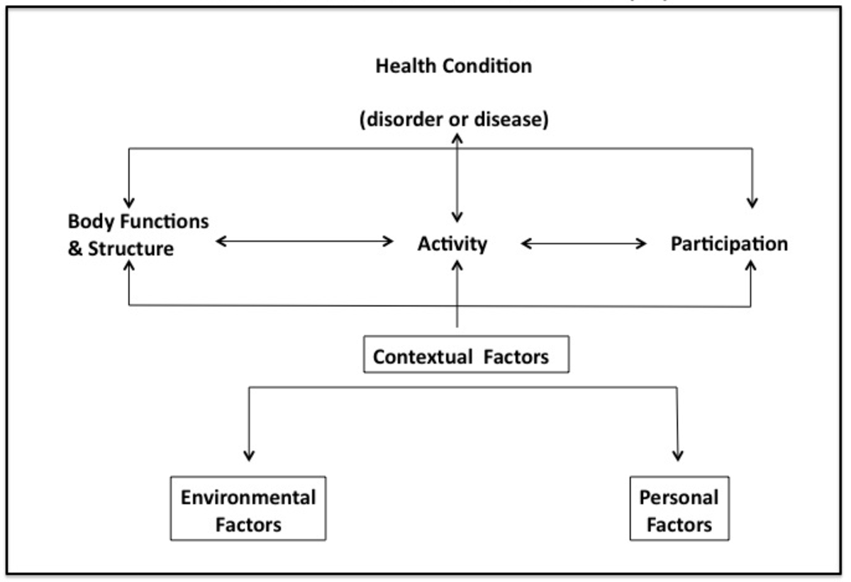Flow chart showing the ICF information structure