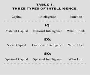 Table with 3 columns labelled Capital, Intelligence and Function. Under Capital is Material, Social and Spiritual Capital. Under Intelligence is Rational, Emotional and Spiritual intelligence. Under Function is What I think, What I feel, and What I am