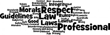 word cloud with Morals, Respect, Law, Professional and Guidelines as the largest words