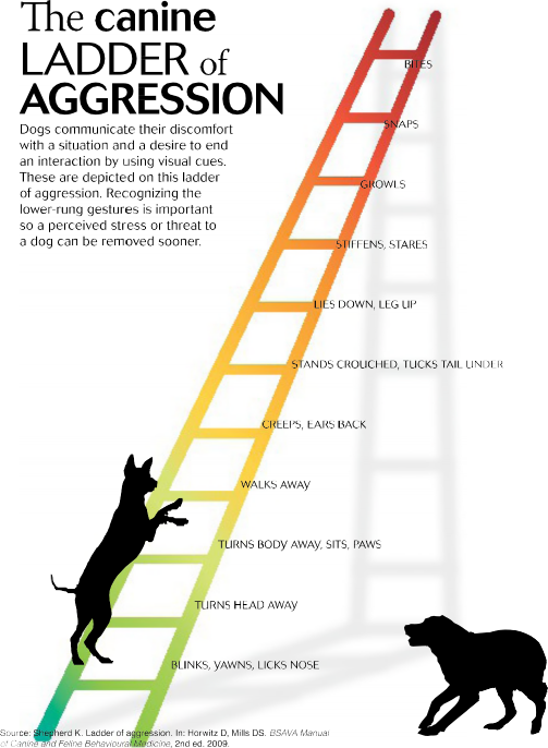 illustration of a ladder with each rung being an agrgressive behavior. Bites is at the top and blinks, yawns, licks noise at the bottom